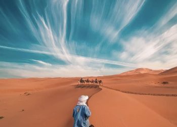 Camel caravan crossing golden sand dunes in the Moroccan Sahara Desert at sunset